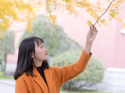 菲律宾海边潜水多少钱(潜水价格通知)